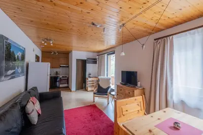 TV/Unterhaltungsangebot in der Unterkunft Panorama at Haus Waldheim! Nr 12