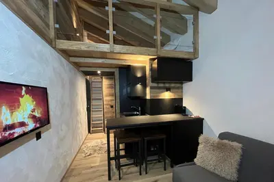 TV/Unterhaltungsangebot in der Unterkunft Les Cerfs - Appartement & Studio - ANZERE