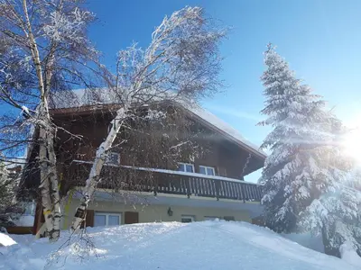 Chalet Bietschhorn Rosswald im Winter