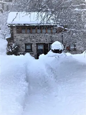 A l'orée du bisse im Winter