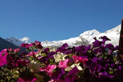 Ein allgemeiner Bergblick oder ein Berglick von der Ferienwohnung aus
