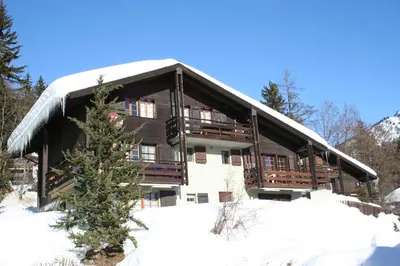 Eieltini B EJB1 im Winter