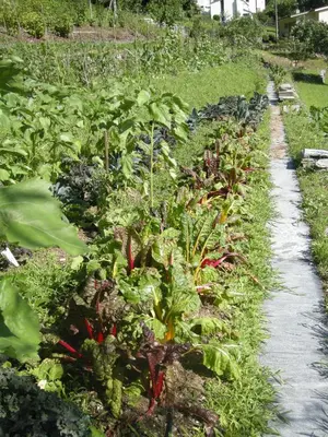 Ein Garten an der Unterkunft Eco-Hotel Cristallina