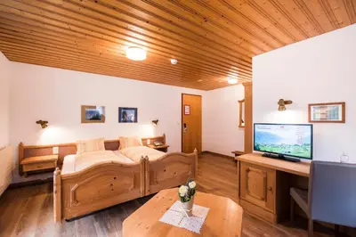 TV/Unterhaltungsangebot in der Unterkunft Hotel Brienzerburli
