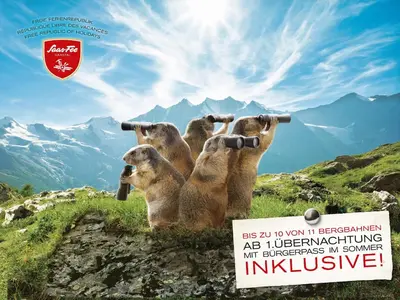 Tiere im Hotel oder in der Nähe