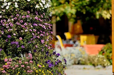 Ein Garten an der Unterkunft Hotel Beausite