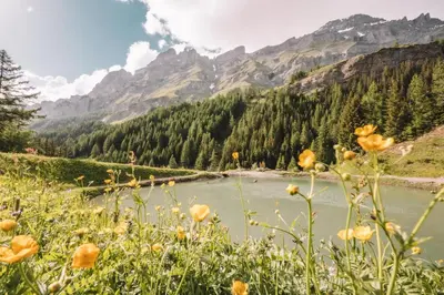Naturlandschaft in der Nähe des Hotels