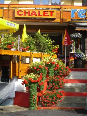 Grundriss der Unterkunft Hotel Primavera