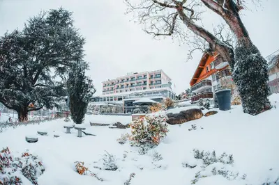 Hotel Eden Spiez im Winter