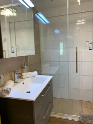 Ein Badezimmer in der Unterkunft Eiger, Jungfrau, luxury garden apartment