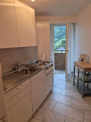 Küche/Küchenzeile in der Unterkunft dala Hotel & Apartments
