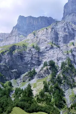 Naturlandschaft in der Nähe des Hotels