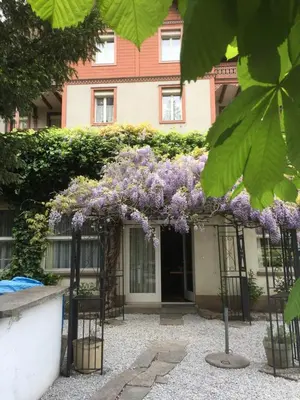 Ein Garten an der Unterkunft Hotel Sonne Interlaken-Matten