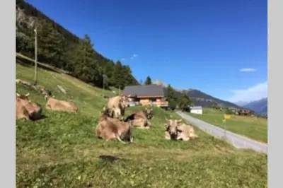 Naturlandschaft in der Nähe der Ferienwohnung
