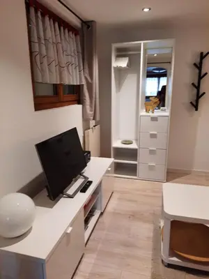 TV/Unterhaltungsangebot in der Unterkunft Chalet Clair de Lune bei Grächen VS