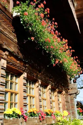 Ein Garten an der Unterkunft Hotel Restaurant Hirschen