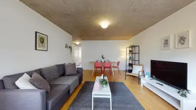 TV/Unterhaltungsangebot in der Unterkunft Bright and luminous 2-bedroom-flat in downtown
