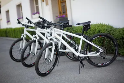 Radfahren an der Unterkunft Sonnegg Hotel oder in der Nähe