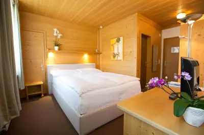 Ein Bett oder Betten in einem Zimmer der Unterkunft Sonnegg Hotel