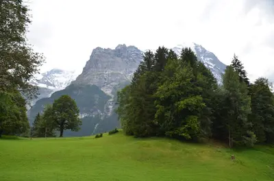 Naturlandschaft in der Nähe der Ferienwohnung