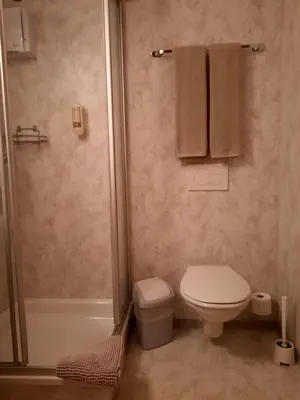 Ein Badezimmer in der Unterkunft Hotel Restaurant Waldrand, Isenfluh