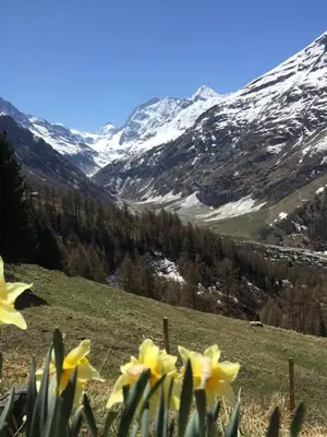 Naturlandschaft in der Nähe der Ferienwohnung