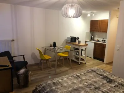 Küche/Küchenzeile in der Unterkunft Le Cerf, magnifique studio avec jardin-terrasse et garage
