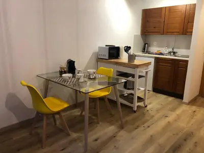 Küche/Küchenzeile in der Unterkunft Le Cerf, magnifique studio avec jardin-terrasse et garage