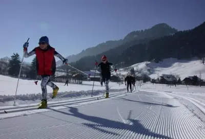Gäste, die in der Unterkunft Realp-Andermatt 3,5 locali giardino privato In mezzo la natura, spettacolare per appassionati montanbike, pesca ecc In inverno fai sci di fondo dal giardino e con il treno davanti a casa si raggiunge in 5min il comprensorio scistico di Andermatt übernachten