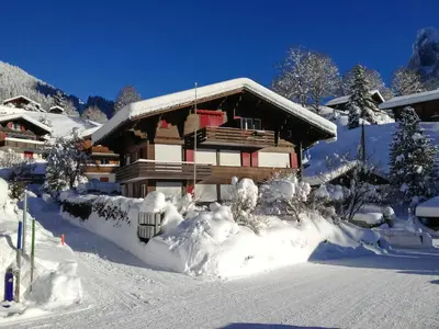 Fantastic view, cosy flat in chalet Bergfink im Winter