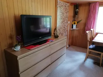 TV/Unterhaltungsangebot in der Unterkunft Brunners harzerhof