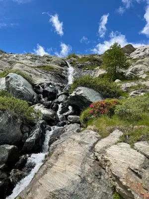 Naturlandschaft in der Nähe des Chalets