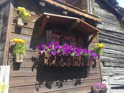 Grundriss der Unterkunft Ascot-Zermatt