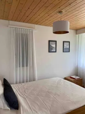 Ein Bett oder Betten in einem Zimmer der Unterkunft Panorama Boutique Apartment with Air Condition, SPA entry in Solbadhotel