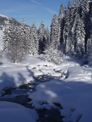 Hotel Des Alpes im Winter