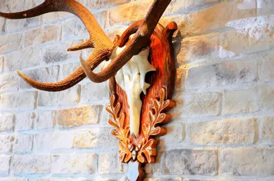 Grundriss der Unterkunft Hotel Tenne