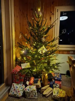 Grundriss der Unterkunft Bettmeralp Chalet Zendorn