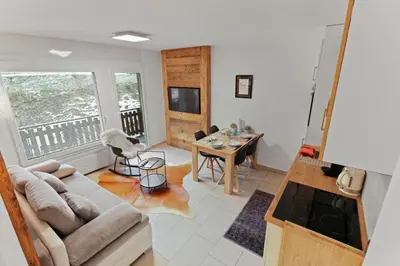 TV/Unterhaltungsangebot in der Unterkunft Appartement en plein centre de Crans Montana