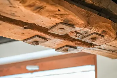 Grundriss der Unterkunft Bodmen 305