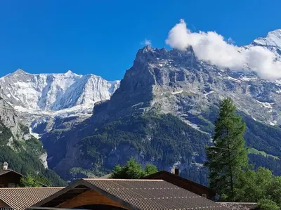 Naturlandschaft in der Nähe der Ferienwohnung