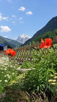 Ein allgemeiner Bergblick oder ein Berglick von des Ferienhauses aus