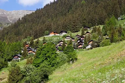 Naturlandschaft in der Nähe des Ferienhauses
