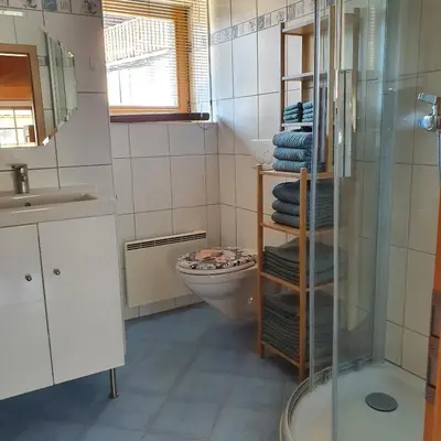 Ein Badezimmer in der Unterkunft Gîte de Mase sur la rive droite du Val d'Hérens