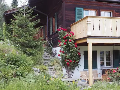 Ein Garten an der Unterkunft Apartment Hübeli - Kopp by Interhome