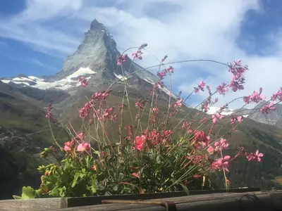 Ein allgemeiner Bergblick oder ein Berglick von der Ferienwohnung aus