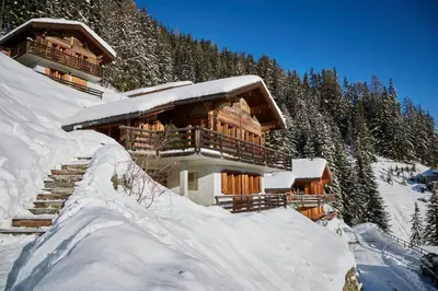 Roux im Winter