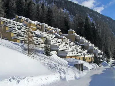 Lärchenwald 406 im Winter