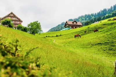 Naturlandschaft in der Nähe der Ferienwohnung