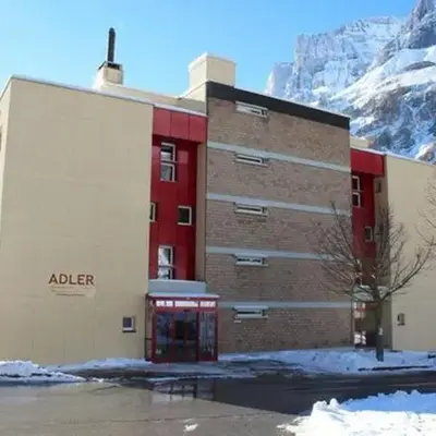 Adler 82