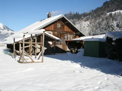 Apartment Chalet Bifigen by Interhome im Winter